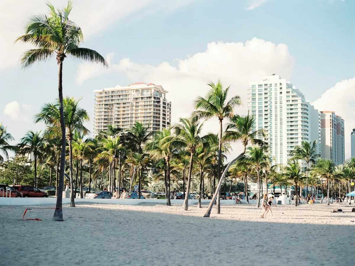Palm trees on a South Florida beach